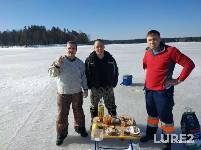 Roach — Lososinskoye, Apr 08, 2019