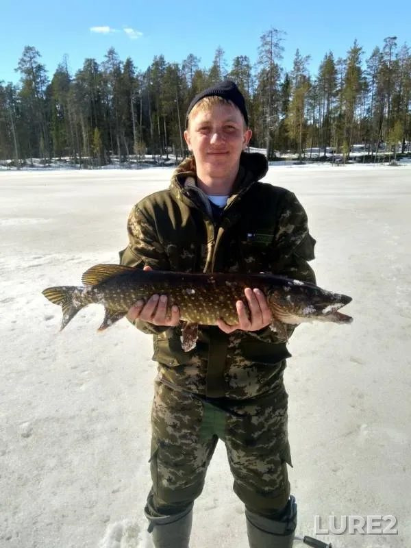 Perch, Pike — Nyanniyarvi, May 02, 2019