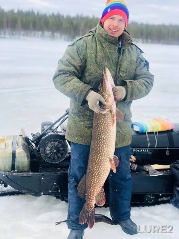 Pike — Kenozero, Apr 15, 2019