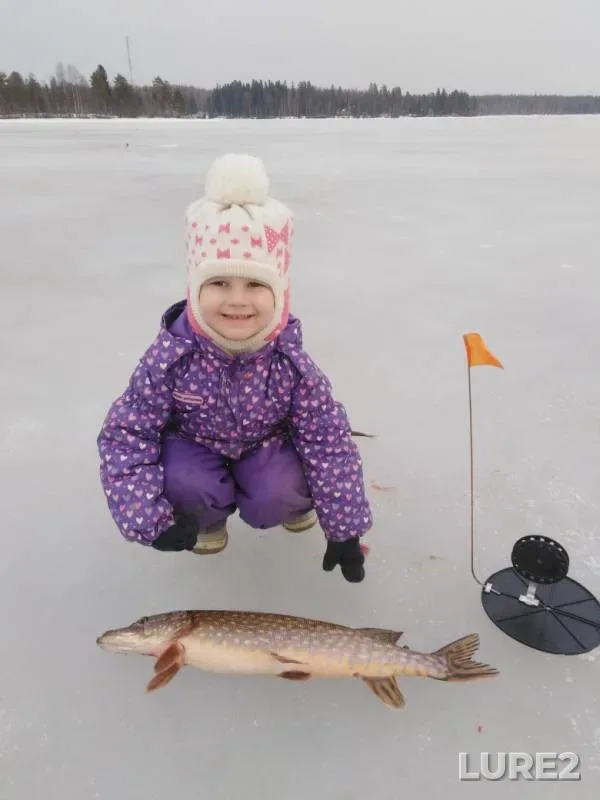 Pike — Lososinskoye, Apr 08, 2019