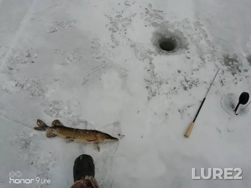 Perch, Pike — Tulozero, Apr 11, 2019