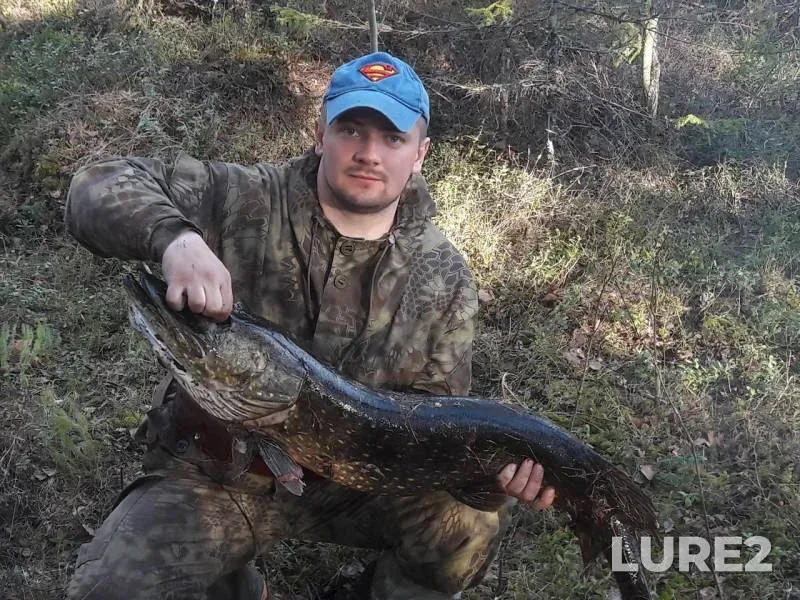 Pike — Pudozh, Jun 10, 2019