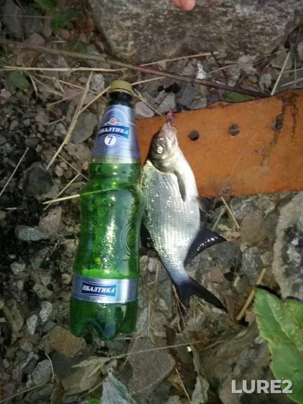 Bream — Respublika Kareliya, Jun 05, 2019