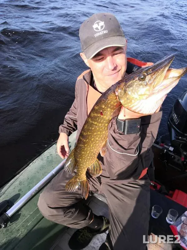 Pike — Syapchozero, Jun 14, 2019
