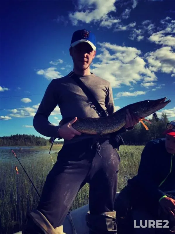 Pike — Suna, Jun 30, 2019