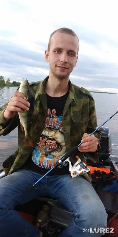 Perch, Pike — Respublika Kareliya, Medvezhyegorskiy rayon, Jul 08, 2019