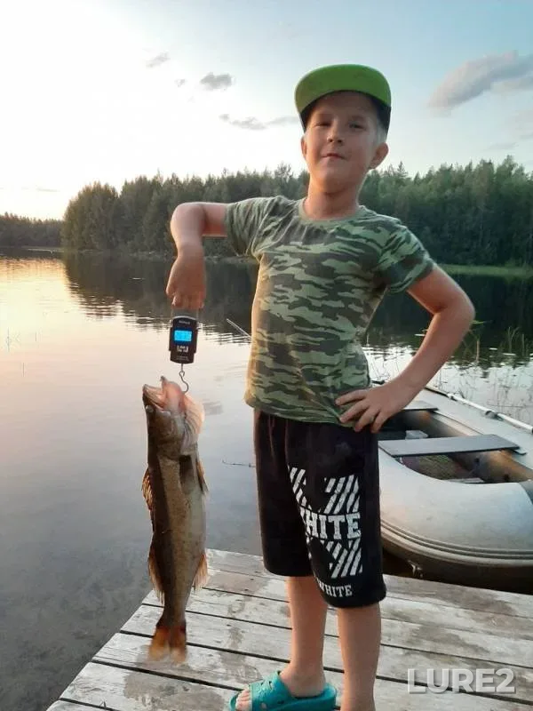 Zander — Leksozero, Aug 13, 2019
