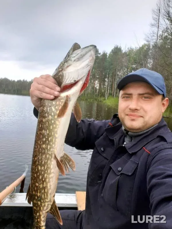 Pike — Nizhneye Pigmozero, Aug 26, 2019