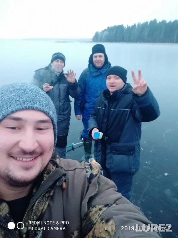 Perch — Respublika Kareliya, Pryazhinskiy rayon, Nov 09, 2019