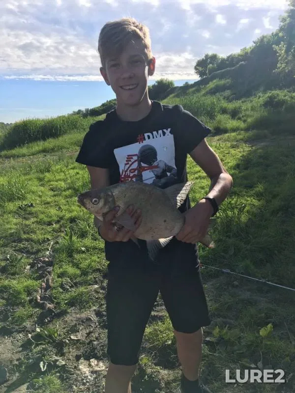 Bream — Irtysh, Jul 01, 2019