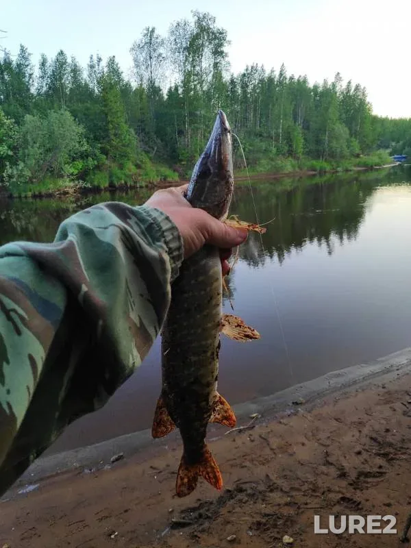 Asp, Pike — Sorum, Jul 03, 2019