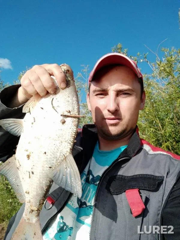 Bream — Irtysh, Jul 05, 2019