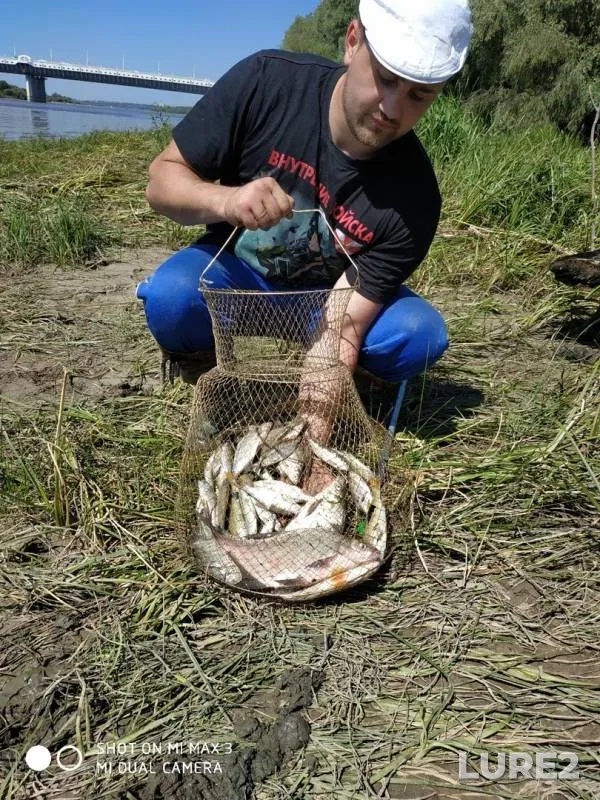 Bream — Irtysh, Jul 13, 2019