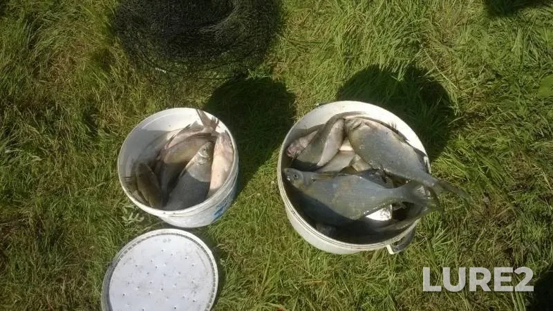 Bream — Irtysh, Jul 14, 2019