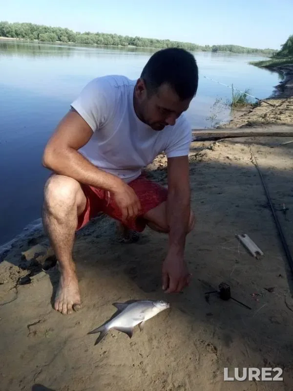 Bream — Irtysh, Jul 15, 2019