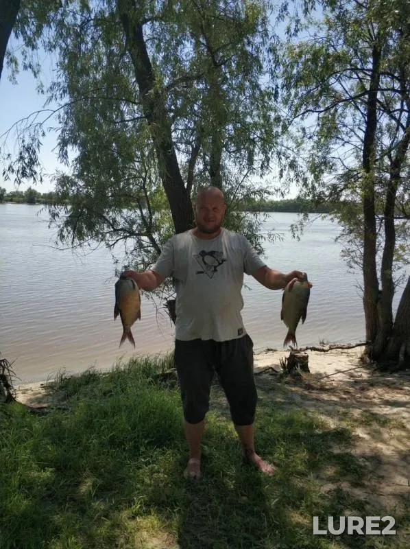 Bream — Irtysh, Jul 16, 2019