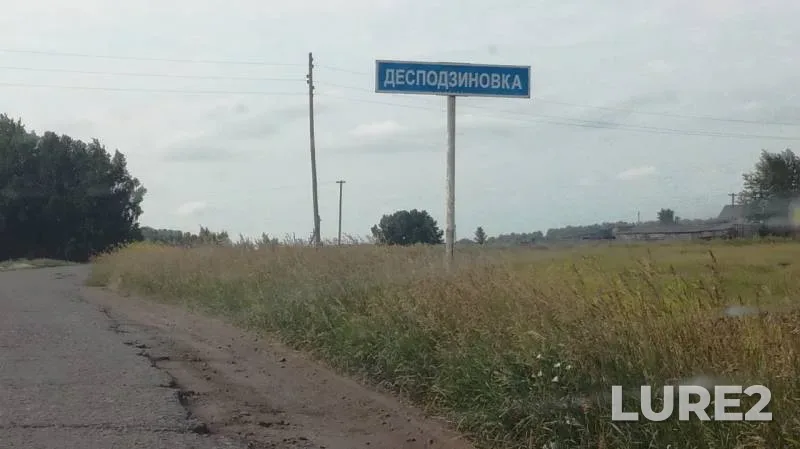 Crucian carp — Omskaya oblast, Sargatskiy rayon, Jul 17, 2019