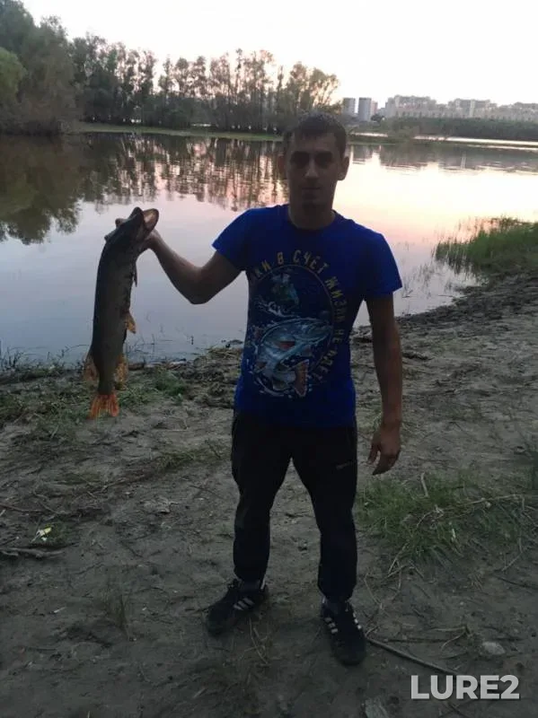 Pike — Irtysh, Jul 19, 2019