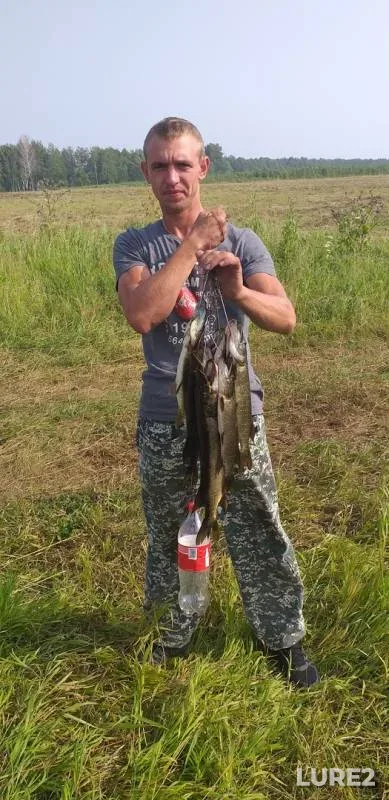 Pike — Omskaya oblast, Tyukalinskiy rayon, Jul 28, 2019