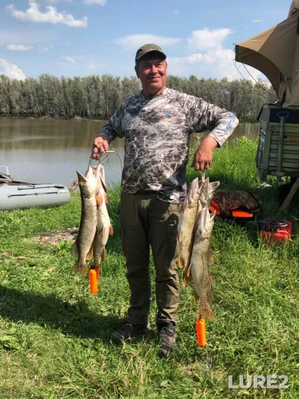 Pike — Omskaya oblast, Bolsherechenskiy rayon, Jul 29, 2019