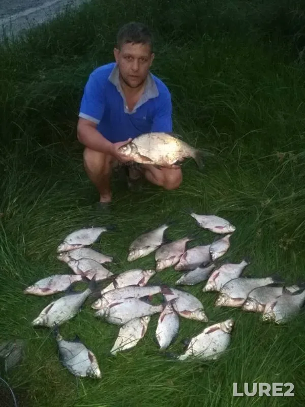 Bream — Irtysh, Jul 29, 2019