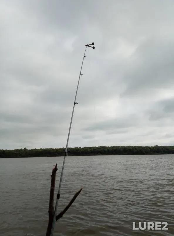 Bream, Roach — Irtysh, Jul 30, 2019
