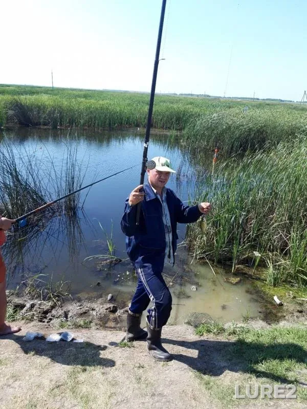 Crucian carp — Omskaya oblast, Sherbakulskiy rayon, Aug 02, 2019