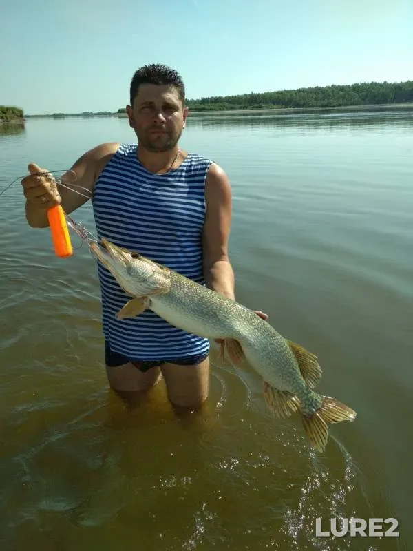 Pike — Irtysh, Aug 03, 2019