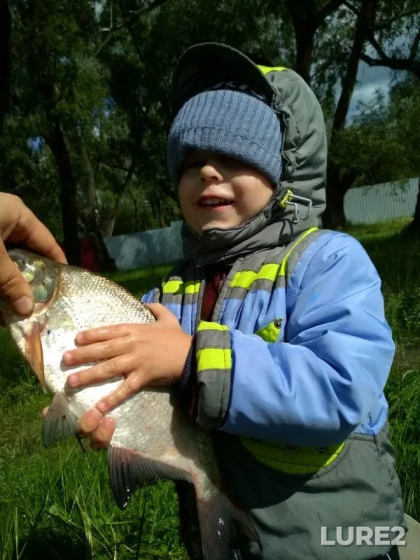 Bream — Irtysh, Aug 02, 2019