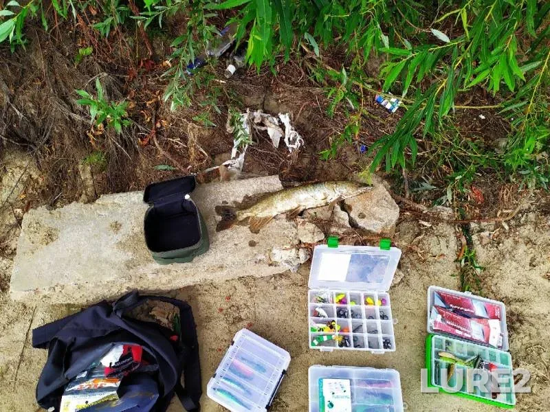 Pike — Irtysh, Aug 04, 2019