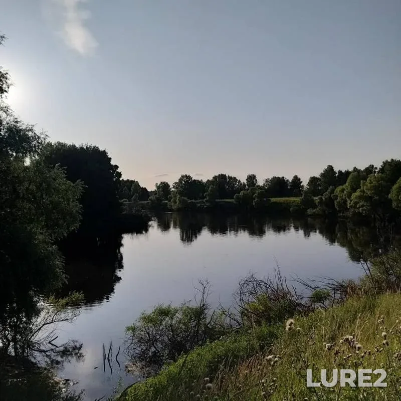 Pike — Om, Aug 06, 2019