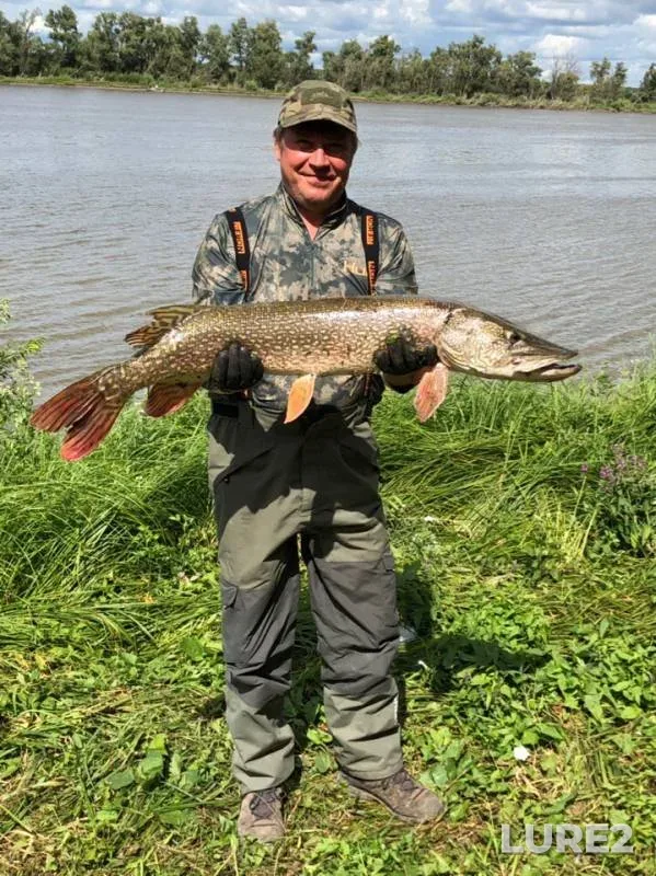 Pike — Irtysh, Aug 10, 2019