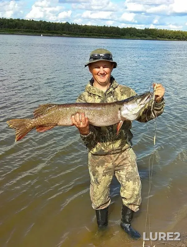 Pike — Irtysh, Aug 11, 2019