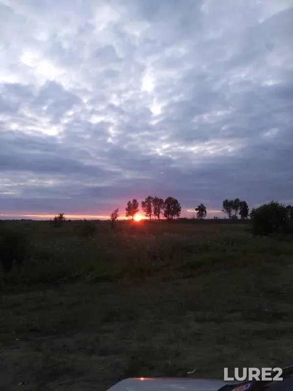 Bream, Ide — Irtysh, Aug 11, 2019