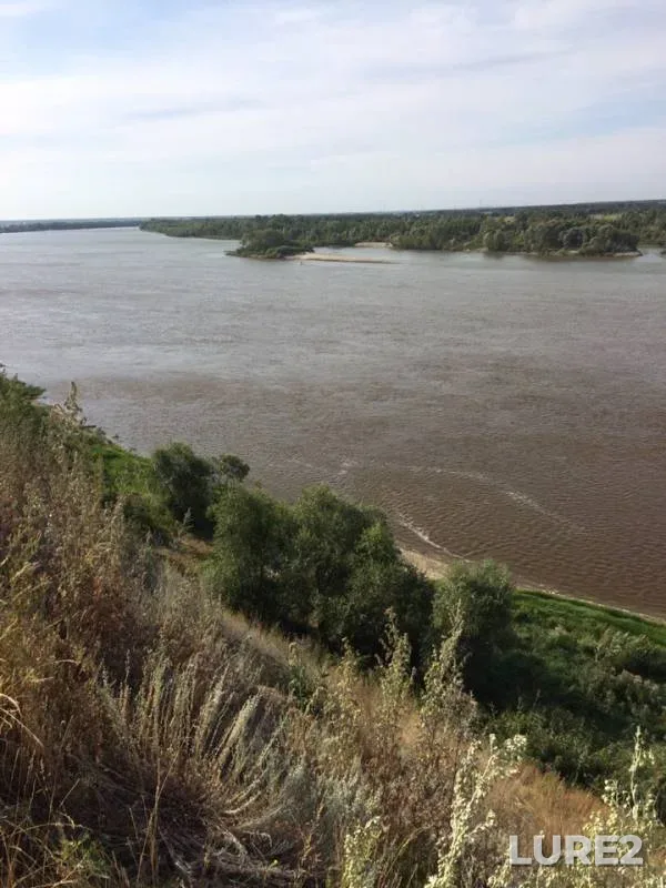 Bream — Irtysh, Aug 13, 2019
