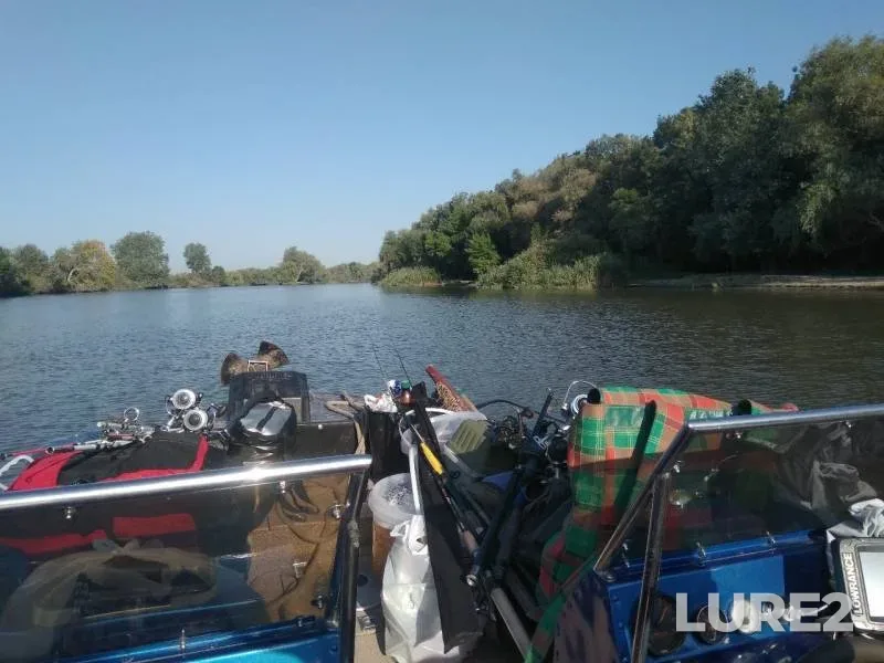 Carp — Turunchuk, Aug 22, 2019