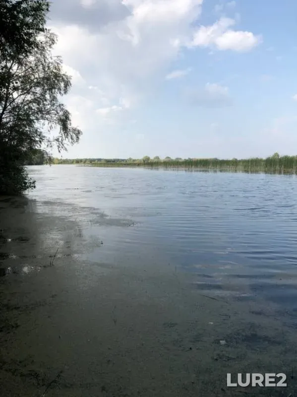 Perch, Pike — Omskaya oblast, Lyubinskiy rayon, Aug 23, 2019