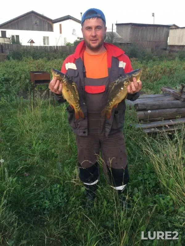 Carp — Kemerovskaya oblast, Aug 28, 2019