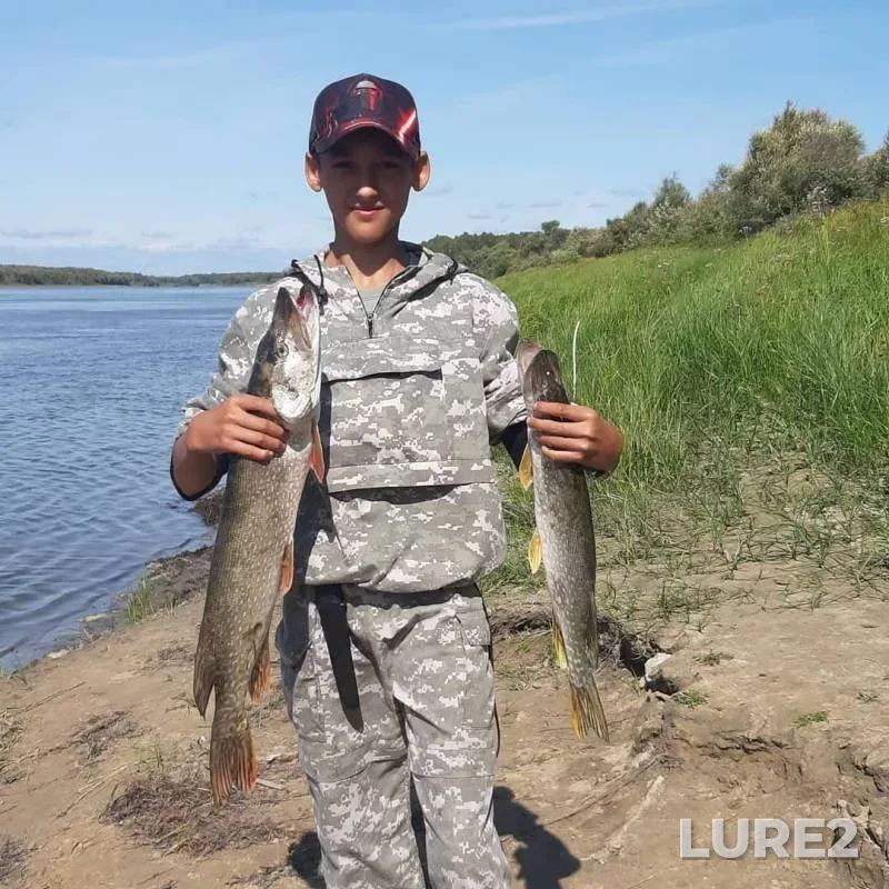 Pike — Irtysh, Aug 28, 2019