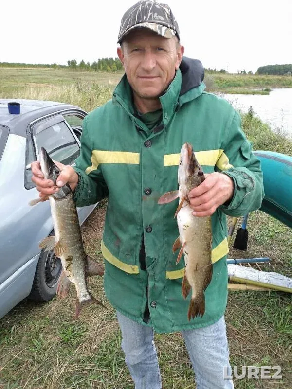 Pike — Omskaya oblast, Tyukalinskiy rayon, Aug 28, 2019