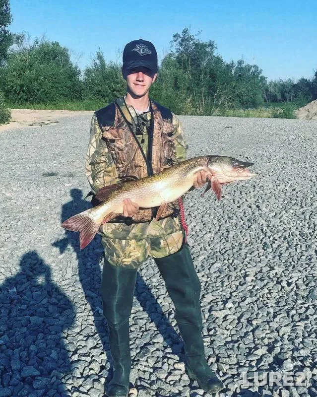 Pike — Bagras, Aug 28, 2019