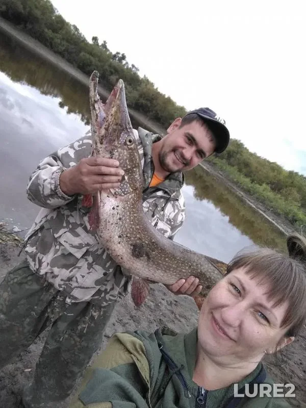 Pike — Om, Sep 03, 2019