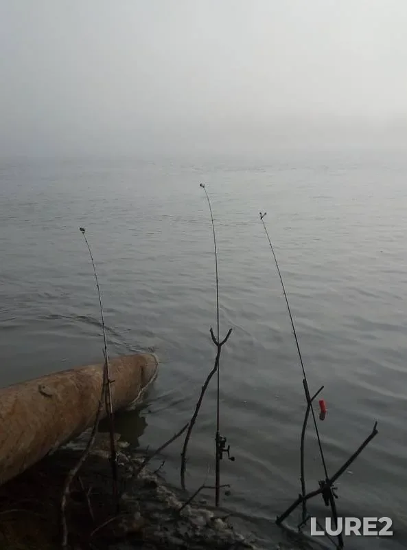 Bream, Ide — Irtysh, Sep 05, 2019