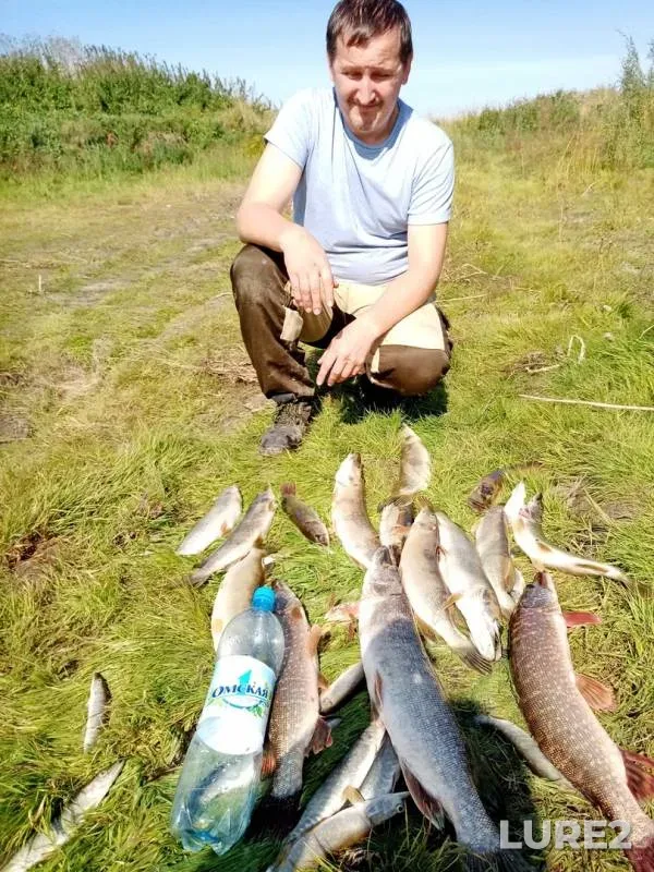 Pike — Icha, Sep 08, 2019