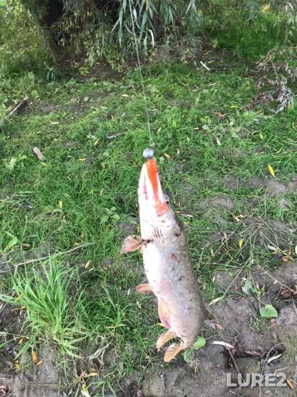 Pike — Om, Sep 13, 2019
