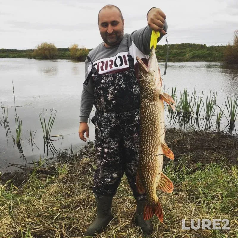 Pike — Omskaya oblast, Kolosovskiy rayon, Sep 13, 2019