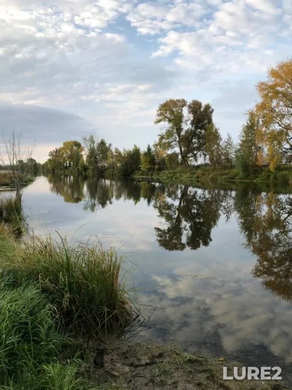 Perch, Pike — Omskaya oblast, Lyubinskiy rayon, Sep 14, 2019