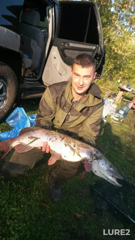 Pike — Irtysh, Sep 16, 2019
