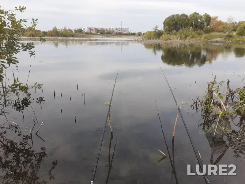 Crucian carp — Omskaya oblast, Sep 18, 2019