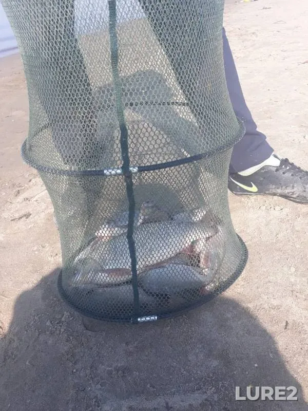 Bream, Ide — Irtysh, Sep 25, 2019